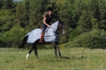 Bucas-Buzz-Off-Riding derka siatkowa  z kapturem do jazdy dla koni