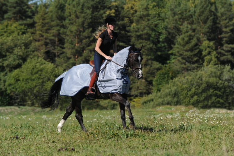 Bucas-Buzz-Off-Riding derka siatkowa  z kapturem do jazdy dla koni