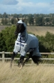 bucas-Sweet-Itch-Light-X-big-neck-derka-egzemowa-przeciw-owadom.jpg