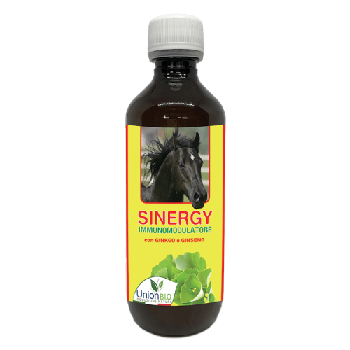 Sinergy-Union-Bio-multiwitaminy-i-mineraly-dla-koni.png