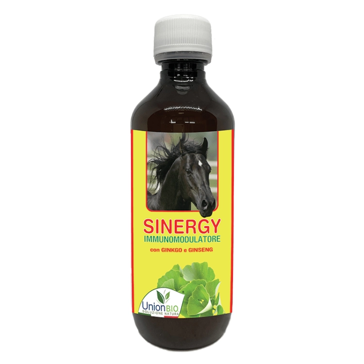Sinergy-Union-Bio-multiwitaminy-i-mineraly-dla-koni.png