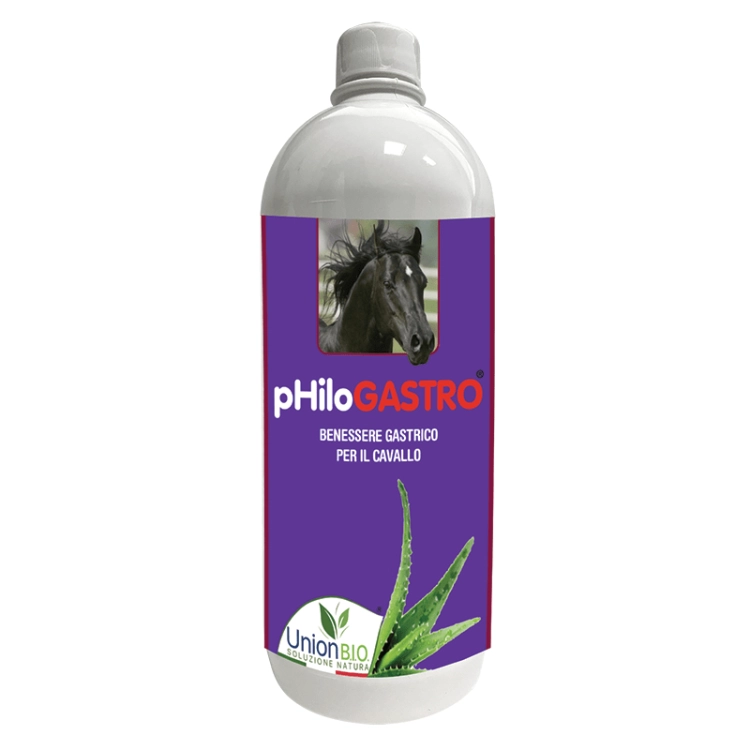 Philgastro-Union-Bio-na-zoladek-dla-koni-wrzody.png