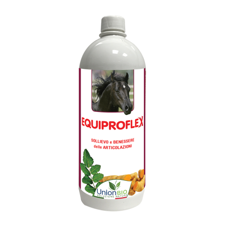 Equiproflex-Union-Bio-na-stawy-koni.png