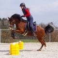 Podstawka-pod-cavaletti-York