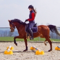 Podstawka-pod-cavaletti-York