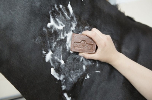 mydlo-na-problemy-skorne-kevin-bacons-active-soap