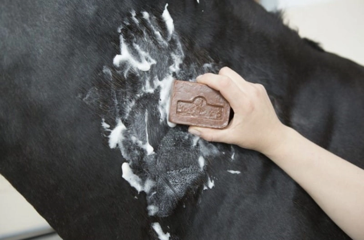 mydlo-na-problemy-skorne-kevin-bacons-active-soap