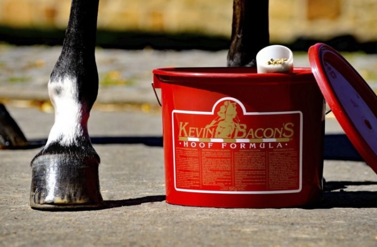 suplement-na-kopyta-kevin-bacons-hoof-formula