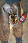 preparat-ochronny-na-strzalki-kevin-bacons-hoof-solution-oil