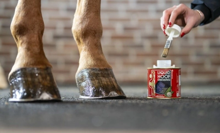 olej-do-kopyt-kevin-bacons-hoof-dressing