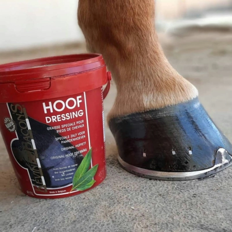 smar-do-kopyt-kevin-bacons-hoof-dresisng