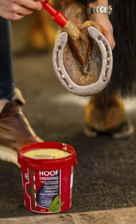 smar-do-kopyt-kevin-bacons-hoof-dresisng