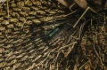 siatka-na-siano-hippotonic-parachute