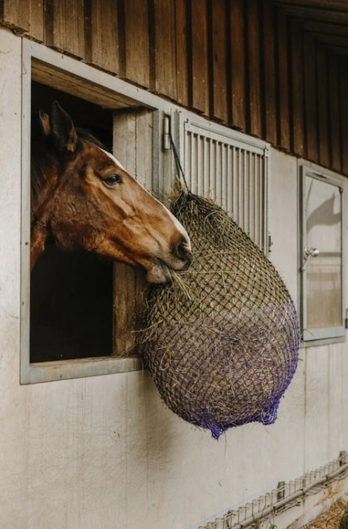 siatka-na-siano-hippotonic-fine