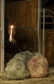 siatka-na-siano-hippotonic-zari
