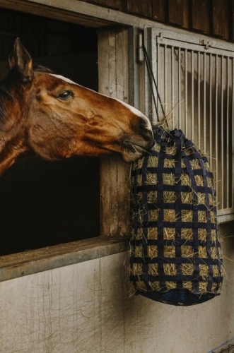 siatka-torba-na-siano-hippotonic-strap