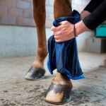 Ręcznik chłodzący Back On Track 106 x 76 cm