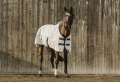 derka-siatkowa-equi-theme