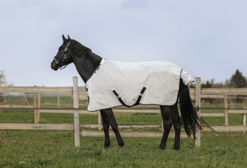 derka-siatkowa-equi-theme