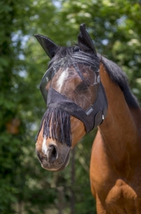 Maska przeciw owadom Equi Theme "Franges"