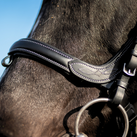 Horsenjoy-oglowie-anatomiczne-Anatomic