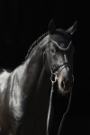 Nuszniki Bucas "Fly Bonnet"