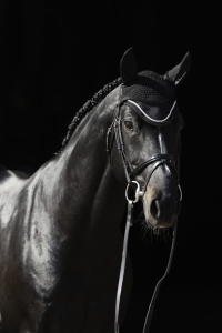 Nuszniki Bucas "Fly Bonnet"