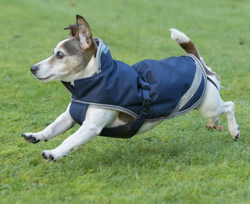 bucas-freedom-dog-rug-derka-dla-psa-granatowa.jpg