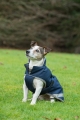 bucas-freedom-dog-rug-derka-dla-psa-granatowa.jpg