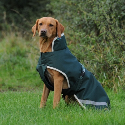 bucas-Greenline-Dog-Rug-derka-dla-psa.jpg
