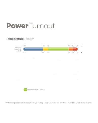 powerturnout.jpg