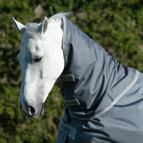 bucas-Smartex-Neck-Iron-Gate