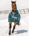 Bucas-Atlantic-Neck-Green-kaptur-derki-padokowej-dla-koni-zimowy1.jpg