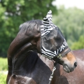 maska-przeciw-owadom-york-zebra1.jpg