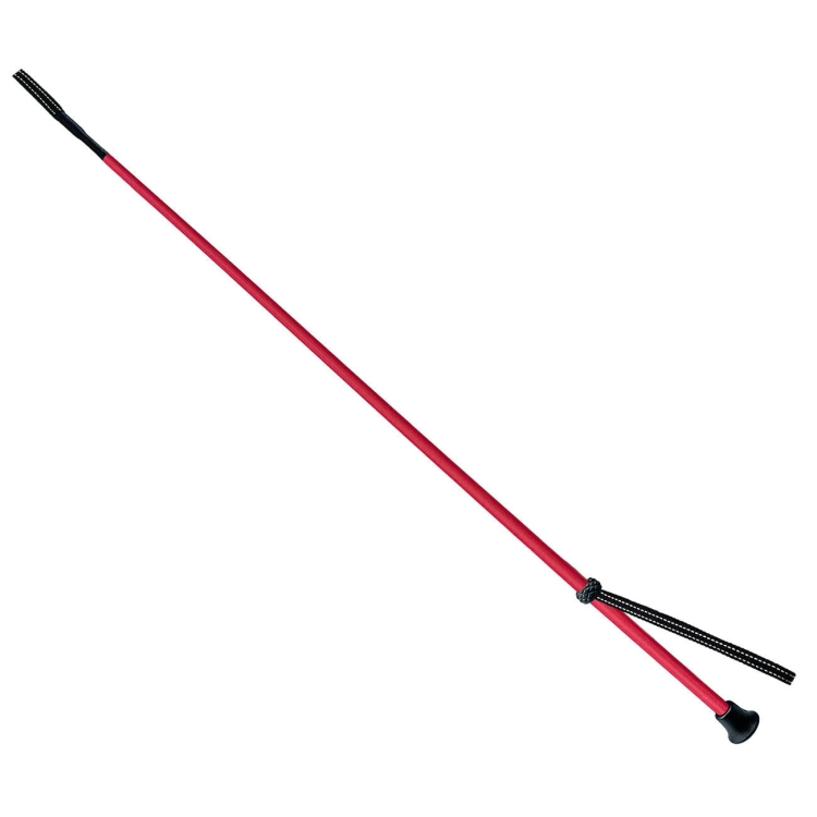 pol_pl_Bat-York-Basic-15248_1.jpg