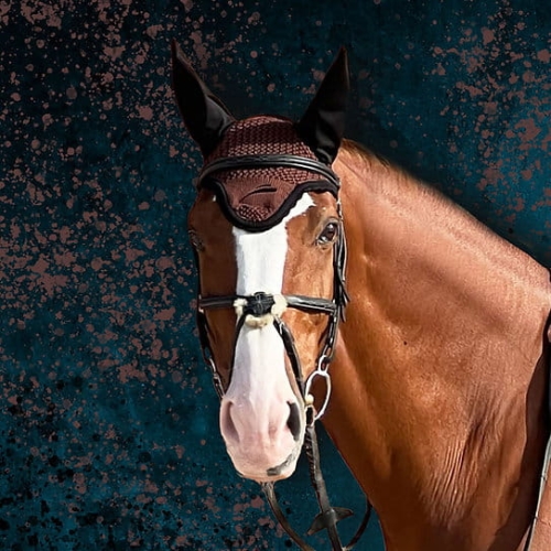 nauszniki-equick-colour-brown.jpg