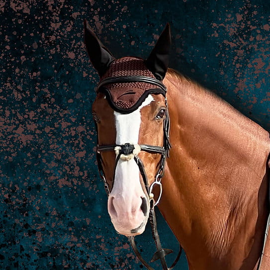 nauszniki-equick-colour-brown.jpg