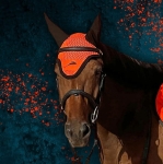 Nauszniki eQuick "Colour" orange