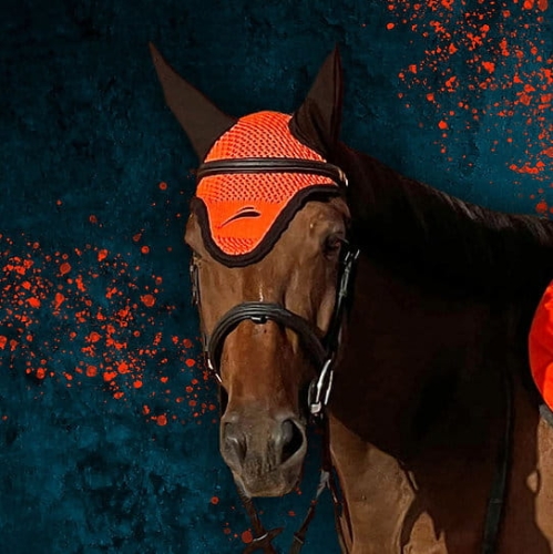nauszniki-equick-colour-orange.jpg