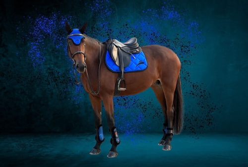 czaprak-equick-colour-blue.jpg