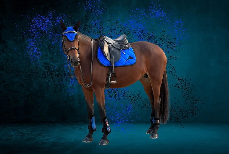 czaprak-equick-colour-blue.jpg