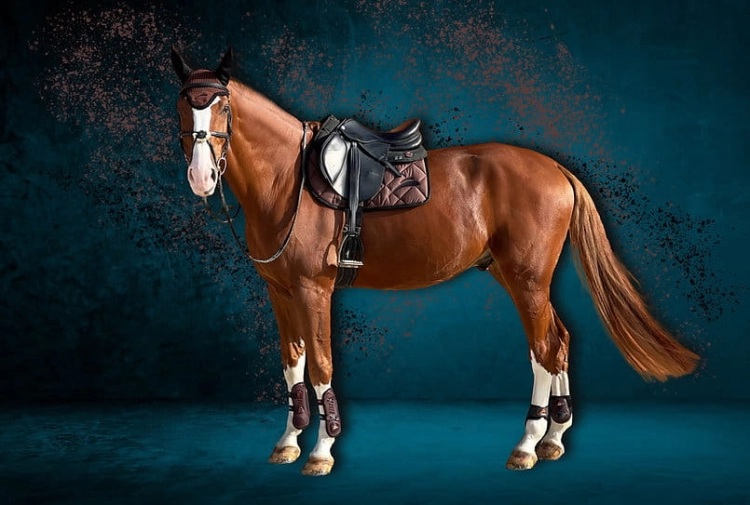 czaprak-equick-colour-brown.jpg
