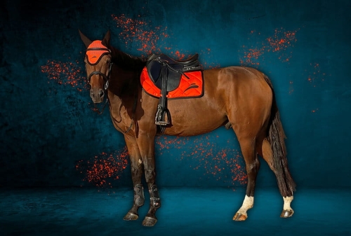 czaprak-equick-colour-orange.jpg