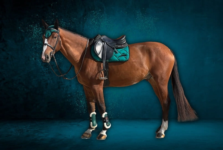 czaprak-equick-colour-green.jpg
