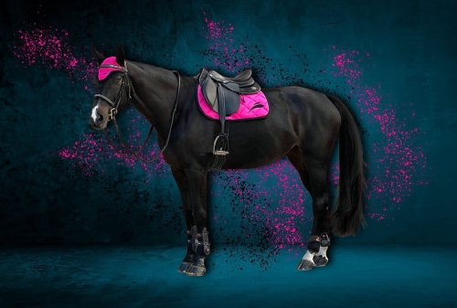 czaprak-equick-colour-pink.jpg