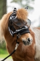 maska-przeciw-owadom-HKM-Zebra-Shetty
