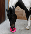 zabawka-bizzy-horse-bizzy-ball
