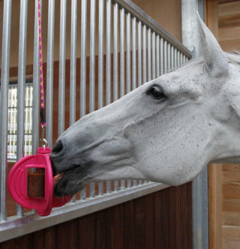 zabawka-bizzy-horse-bizzy-ball