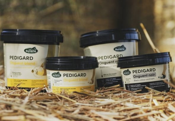pediguard-ravene-black-ointment (5).jpg