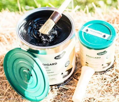 pediguard-ravene-black-ointment.jpg